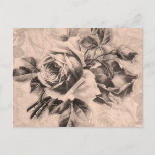 Carte Postale Sepia Rose vintage