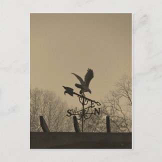 Carte Postale Sepia Tone Eagle Weather vane