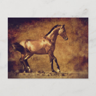 Carte Postale Sepia Toned Rustic Horse Art