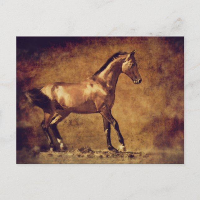 Carte Postale Sepia Toned Rustic Horse Art (Devant)