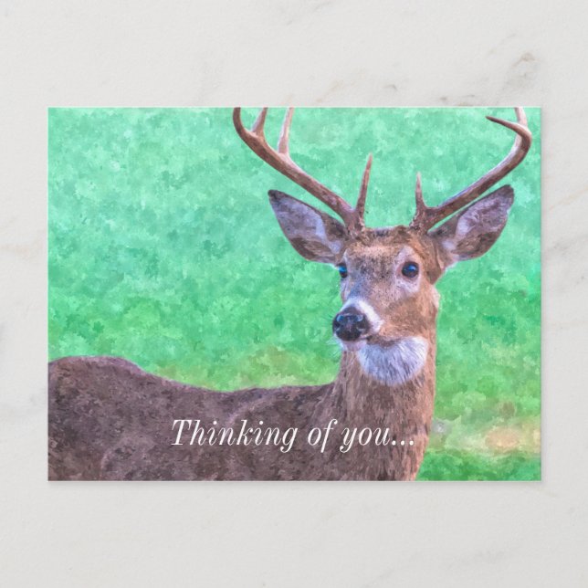 Carte Postale Sept Points Buck Paintéralement Penser De Vous (Devant)