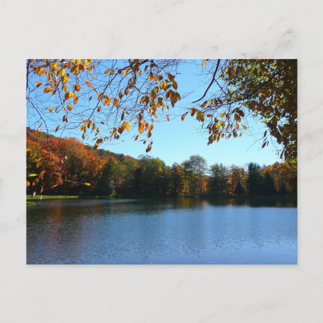 Carte Postale Sept Sources Chute Arbres et Étang (Devant)