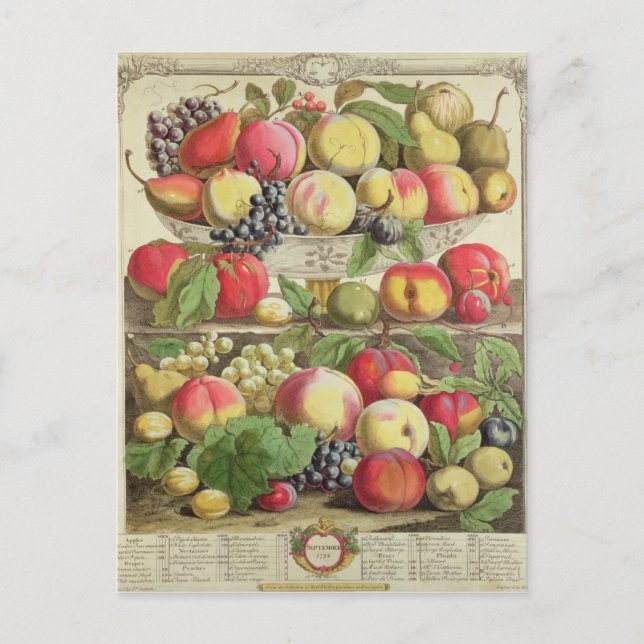 Carte Postale Septembre, à partir de "Douze mois de fruits" (Devant)