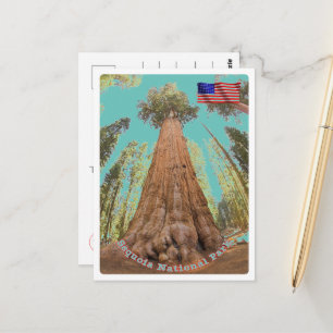 Carte Postale Sequoia - Arbre General Sherman - États-Unis -