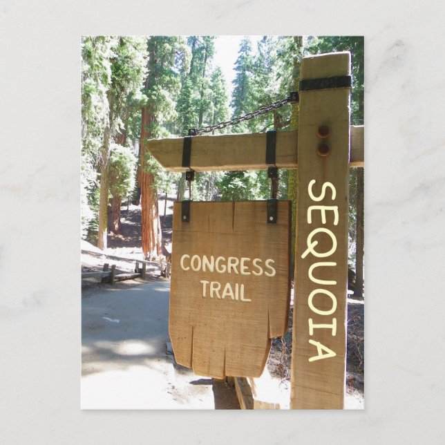 Carte postale Sequoia/Congress Trail ! (Devant)
