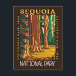 Carte Postale Sequoia National Park California Retro perturbé<br><div class="desc">Conception d'illustration vectorielle Sequoia. Le parc est le point le plus élevé du mont Whitney,  le mont contigu des États-Unis,  et se trouve au sud du parc national Kings Canyon.</div>