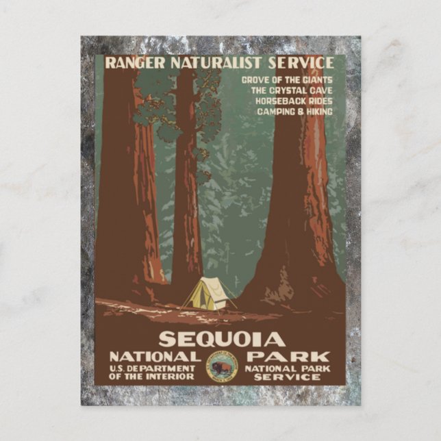 Carte Postale Sequoia National       ParkVintage voyage (Devant)