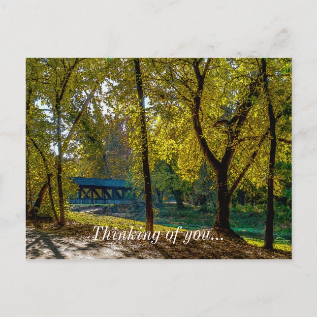 Carte Postale Serene Automne Walk Painterly (Devant)