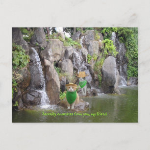Carte Postale Serene Bubba