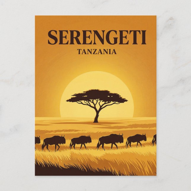 Carte Postale Serengeti, Arusha, Mara (Devant)