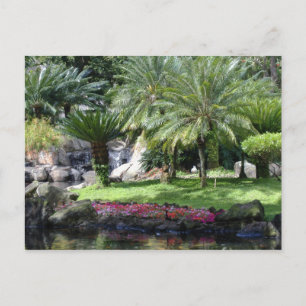 Carte Postale Sérénité à Kauai