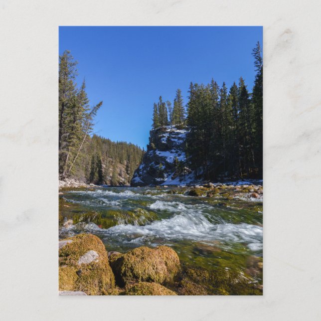 Carte Postale Sérénité au 5e pont - rivière Athabasca (Devant)