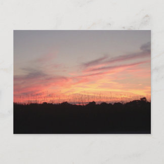 Carte Postale Serenity Series Postcard Night