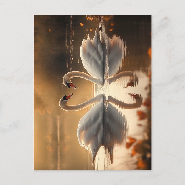 Carte Postale Serenity Twilight - Swans in Love (Devant)