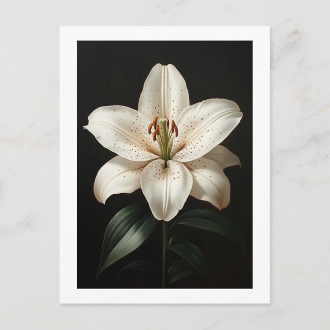Carte Postale Serenity White Lily - Hommage Floral Élégant (Devant)