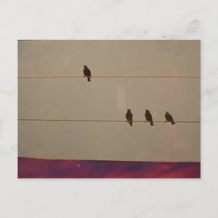 Carte postale série