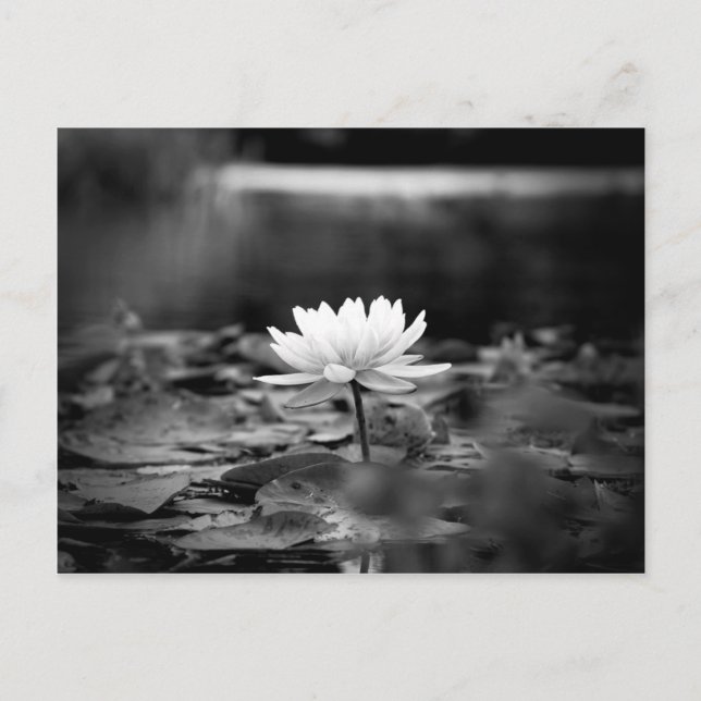 Carte Postale Série 0851 (Devant)