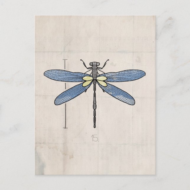 Carte Postale Série d'insectes - libellule par VOL25 (Devant)