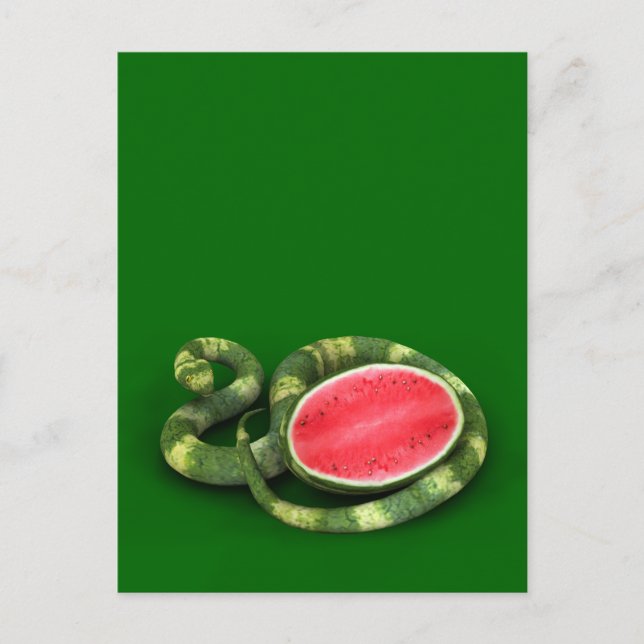 Carte Postale Serpent de pastèque vert (Devant)
