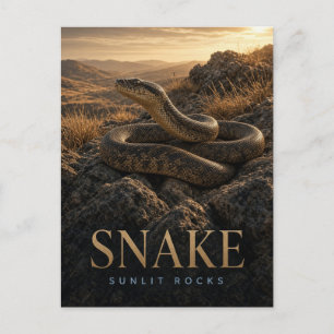 Carte Postale Serpent Rochers Ensoleillés Faune ANIMAL