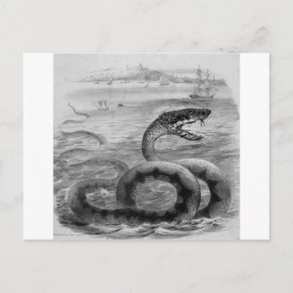 Carte Postale Serpent/Serpent de mer