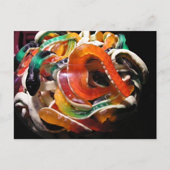 Carte Postale Serpents (Devant)