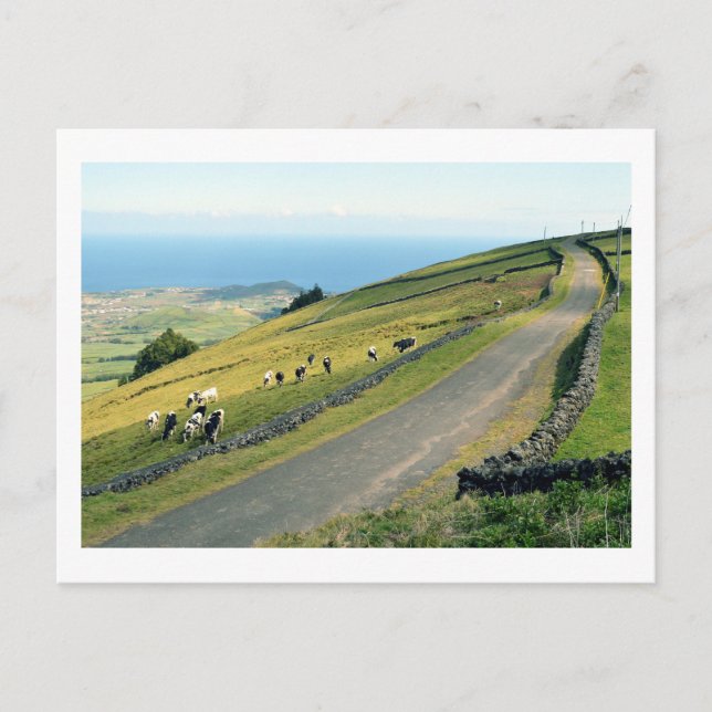 Carte Postale Serra do Cume : Terceira (Devant)