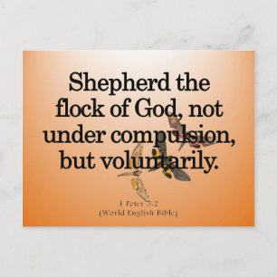 Carte Postale Service volontaire 1 Pierre 5-2