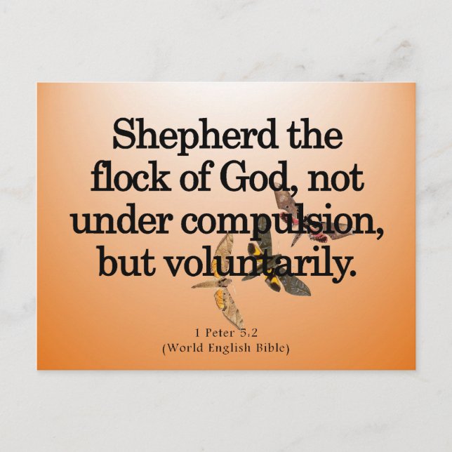 Carte Postale Service volontaire 1 Pierre 5-2 (Devant)