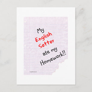 Carte Postale Setter Anglais Ate My Homework