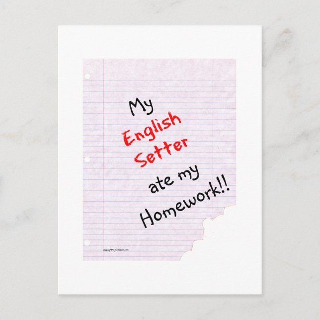 Carte Postale Setter Anglais Ate My Homework (Devant)
