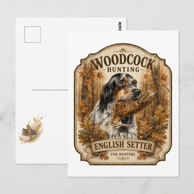 Carte Postale Setter anglais, chasse à la bécasse (Devant / Derrière)