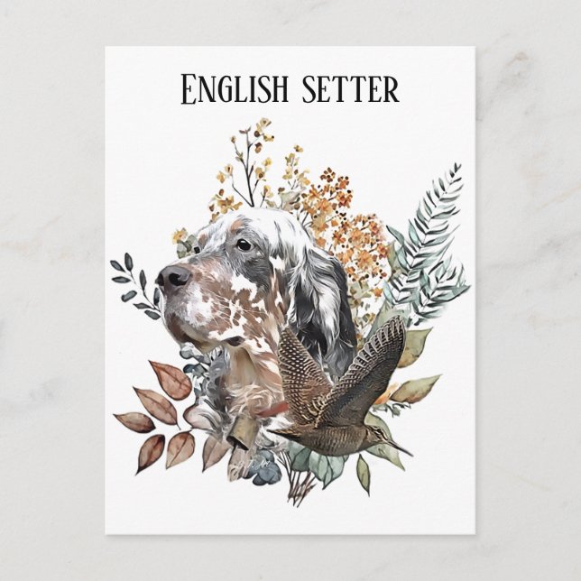 Carte Postale Setter anglais , Chasse à la bécasse , Art  (Devant)