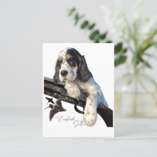 Carte Postale Setter anglais, mignon chiot