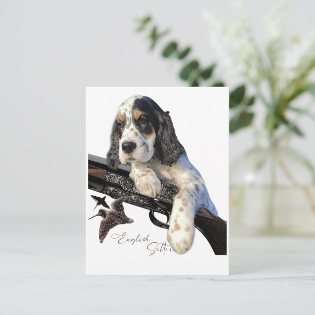 Carte Postale Setter anglais, mignon chiot (Debout devant)