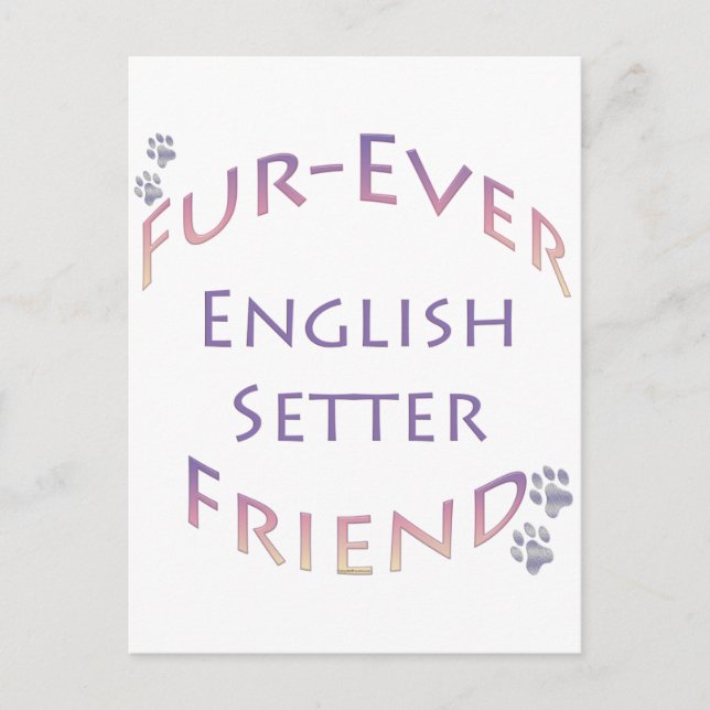 Carte Postale Setter Furever anglais (Devant)