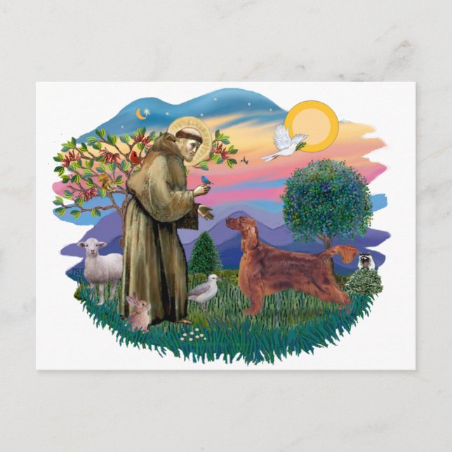 Carte Postale Setter irlandais (Devant)