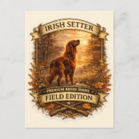Setter irlandais