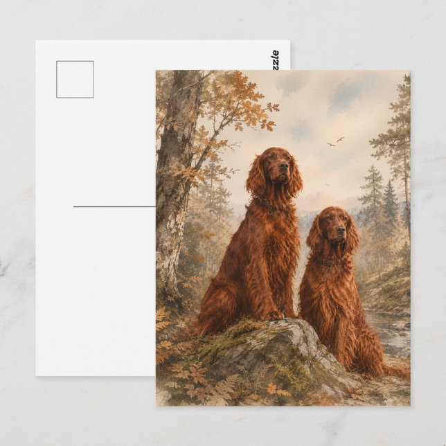 Carte Postale Setter irlandais   (Devant / Derrière)