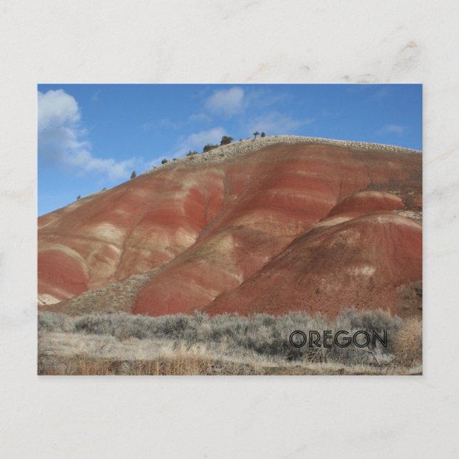 Carte Postale Seul au sommet (Devant)