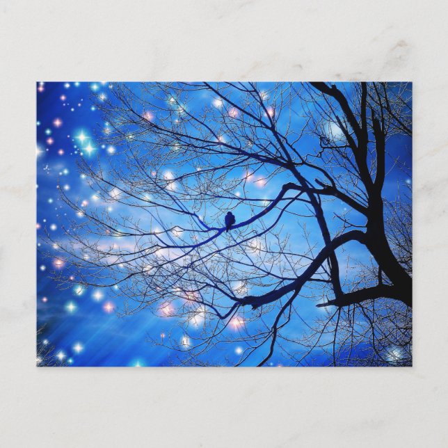 Carte Postale Seul Avec Les Étoiles (Devant)