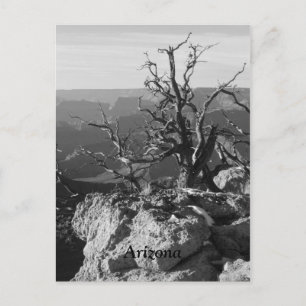 Carte Postale Seul en Arizona