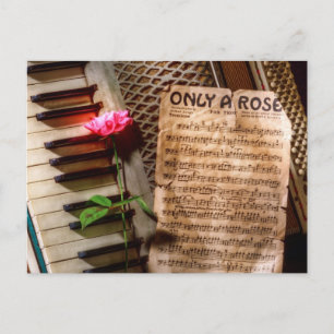 Carte Postale Seul un Rose II
