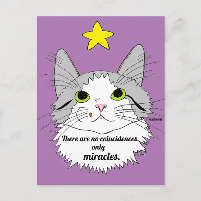 Carte Postale Seulement Miracles Inspiration Ragdoll Chat (Devant)