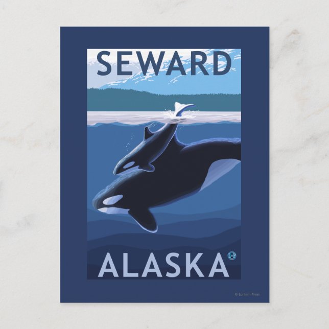 Carte Postale Seward, AlaskaOrca et Calf Scene (Devant)