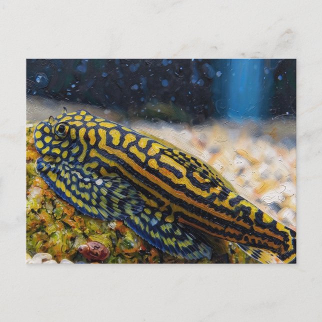 Carte Postale Sewellia lineolata loach de rivière (Devant)