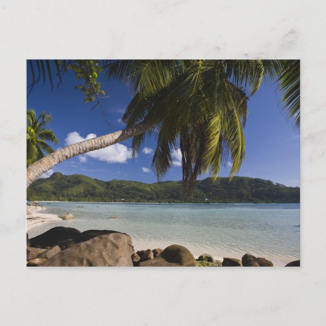 Carte Postale Seychelles, île de Mahé, Anse à la Mouche (Devant)