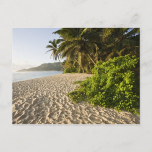 Carte Postale Seychelles, île de Mahe, Anse Marie-Louise