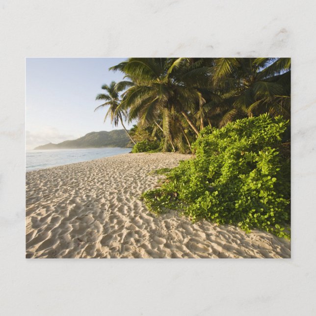 Carte Postale Seychelles, île de Mahe, Anse Marie-Louise (Devant)