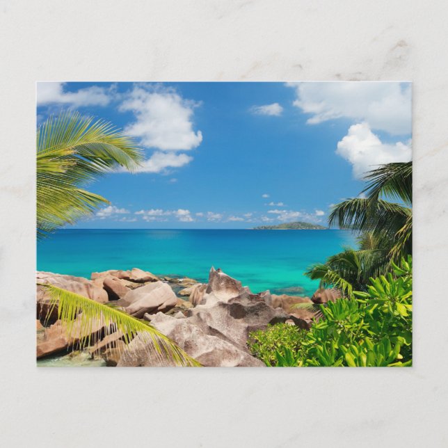 Carte Postale Seychelles. Le littoral de Pierre (Devant)